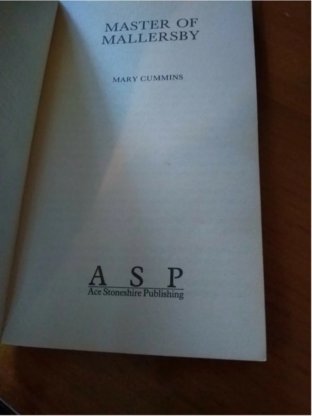 Master of Mallersby by Cummins, Mary softcover book pre-owned no ISBN #